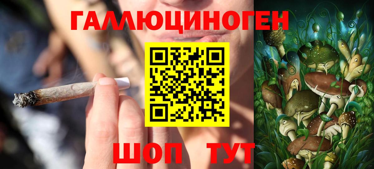 Новошахтинск  Галлюциногенные грибы GOLDEN TEACHER  Вход с VPN 